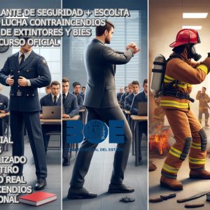 Curso Vigilante de Seguridad+Escolta + Diplomado Manejo extintores y BIES ( Semipresencial)