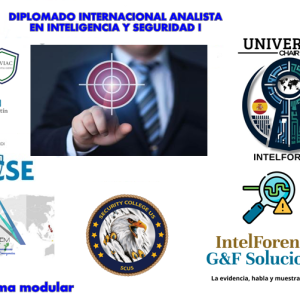Programa de desarrollo profesional en análisis de inteligencia y seguridad