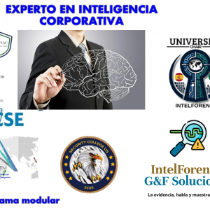Programa superior universitario en inteligencia corporativa
