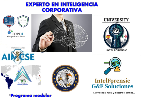 Programa superior universitario en inteligencia corporativa
