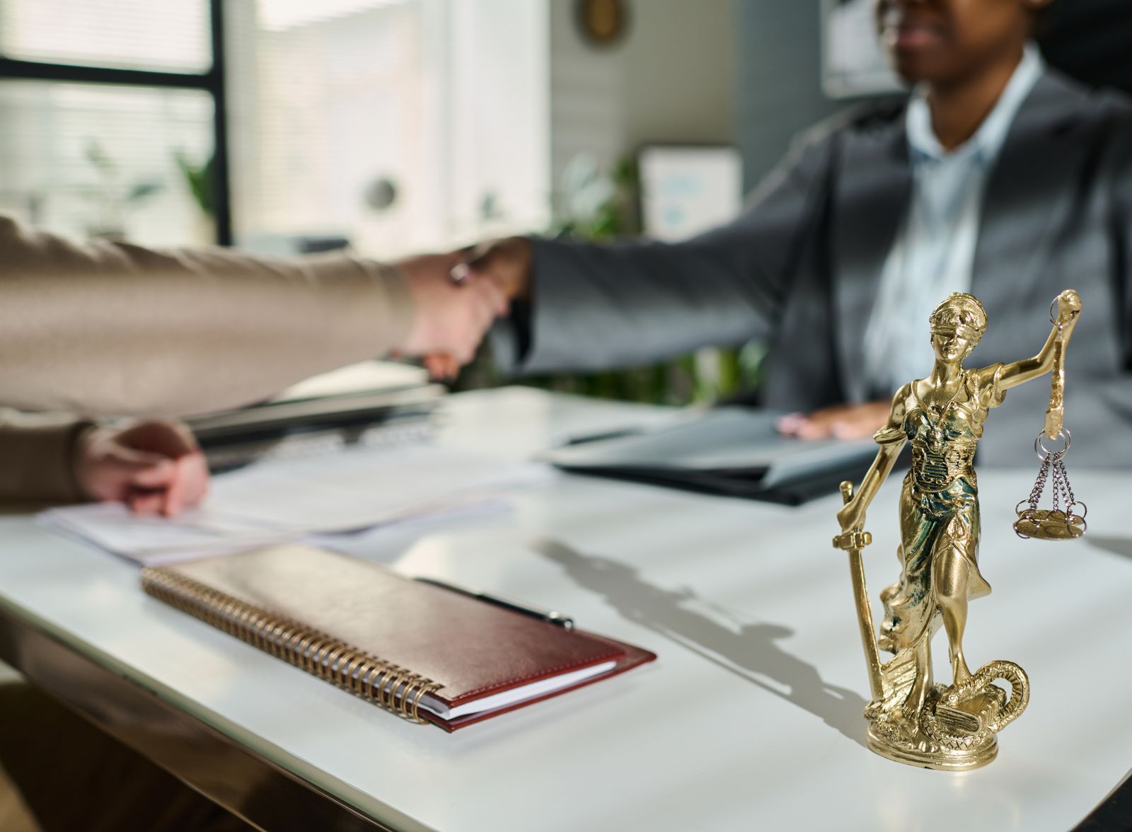 Curso en Peritaje Judicial de Seguridad Privada