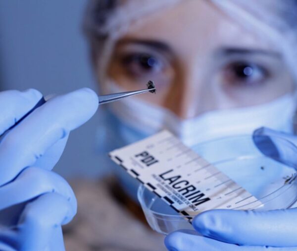 Curso Básico de Entomología Forense